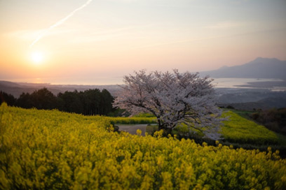 白木峰高原（諫早市）
